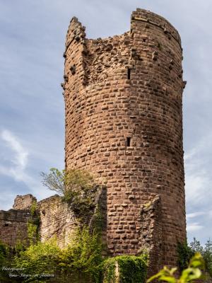 309A4705 Elsass Burg Turm der Rathsamhausen