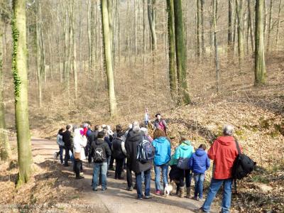 Exkursion im Schatten der Burg Kuernberg am 15.03.2015-42