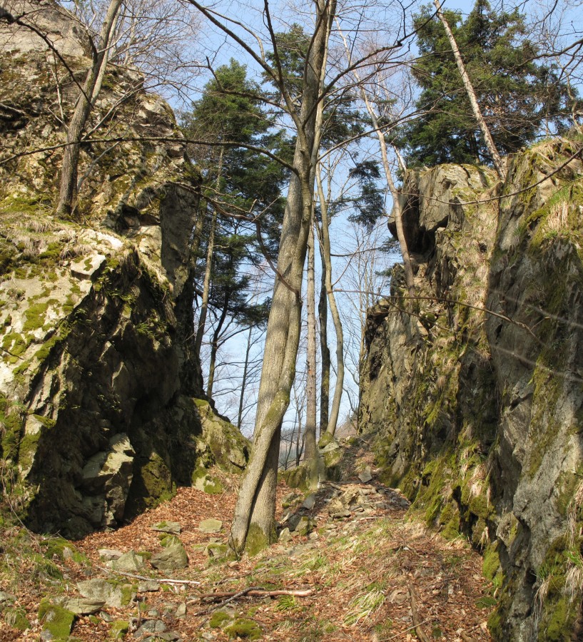 22 Falkenstein Hllental